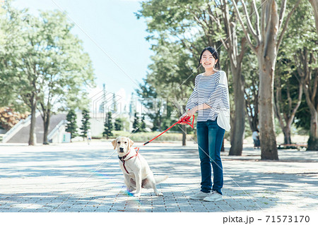 犬の散歩 71573170