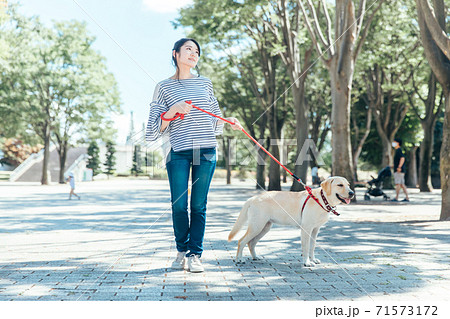 犬の散歩 71573172