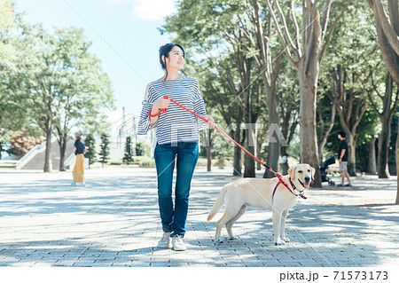 犬の散歩 犬の散歩 71573173