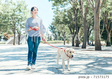 犬の散歩 71573175