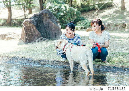 犬の散歩をする女性たち 犬の散歩をする女性たち 71573185