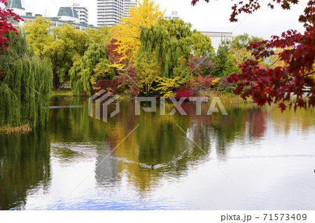 秋の中島公園(札幌市) 秋の中島公園(札幌市) 71573409