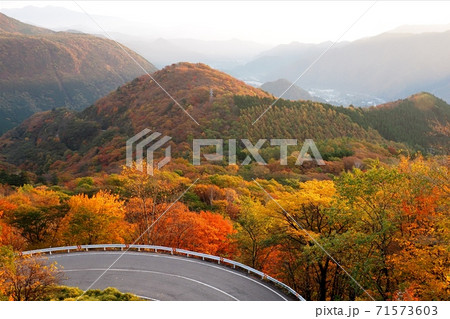 日光　紅葉 71573603