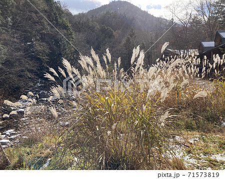 奥鬼怒、霧降高原 71573819