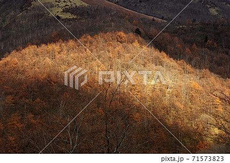 奥鬼怒、霧降高原 71573823