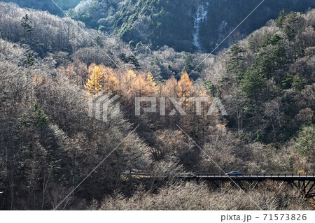 奥鬼怒、霧降高原 71573826