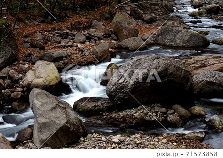奥鬼怒、霧降高原 71573858