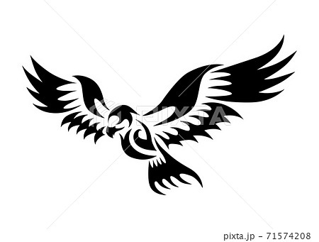 Line art vector illustration of hawk that is flying 71574208