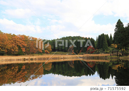 奈良の龍王ヶ渕 71575592