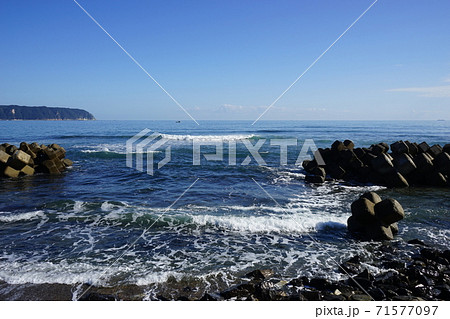 三陸ジオパーク野田の青い海 71577097