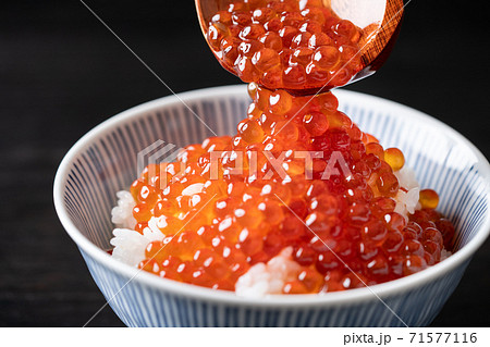 イクラ醤油漬けをご飯にかける イクラ醤油漬けをご飯にかける 71577116