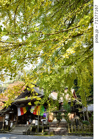 岩間山正法寺(岩間寺)　本堂 71577167