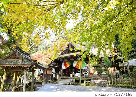 岩間山正法寺(岩間寺) 本堂 岩間山正法寺(岩間寺) 本堂 71577169