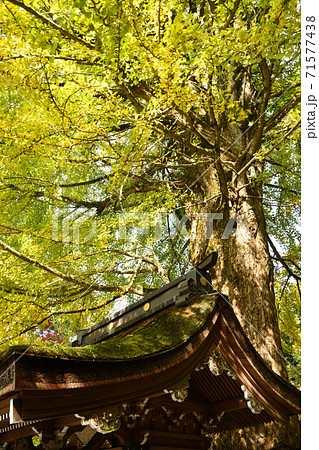 岩間山正法寺(岩間寺) 稲妻龍王社 岩間山正法寺(岩間寺) 稲妻龍王社 71577438