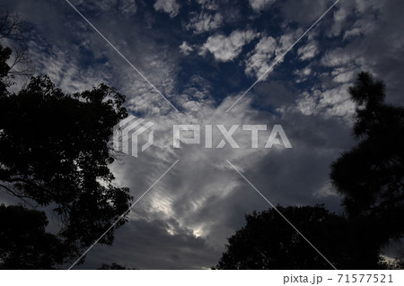 向島百花園の上空 向島百花園の上空 71577521