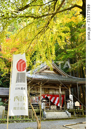 岩間山正法寺(岩間寺)　不動堂と銀杏の大木 71577589