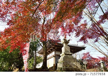 岩間山正法寺(岩間寺) 八大龍王堂と紅葉 岩間山正法寺(岩間寺) 八大龍王堂と紅葉 71577658