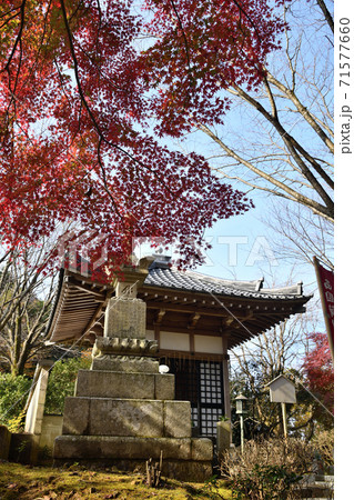 岩間山正法寺(岩間寺)　八大龍王堂と紅葉 71577660