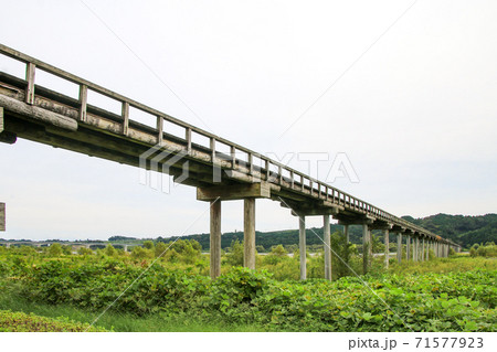 蓬莱橋 71577923