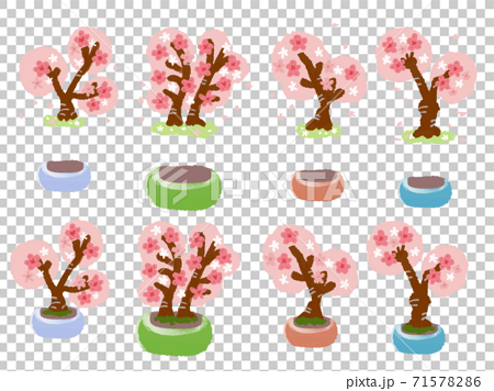 厚塗り水彩で描いた桜の盆栽イラスト素材セットのイラスト素材