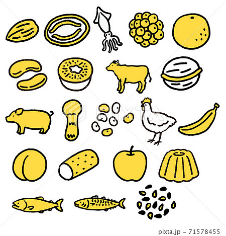 食物アレルギーの特定原材料に準ずるもの二十一品目 手描き風アイコンセットのイラスト素材