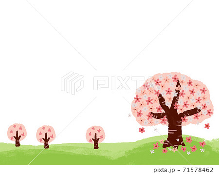 厚塗り水彩で描いたおおきな桜とまばらでちいさな桜の木壁紙 透過のイラスト素材