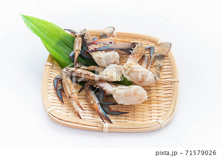 ワタリガニ 71579026