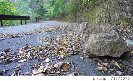 山中を走る道路に転がる落石した岩 山中を走る道路に転がる落石した岩 71579079