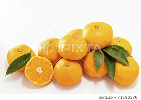 白バックのたくさんのみかんと蜜柑_葉と輪切りあり 71580570