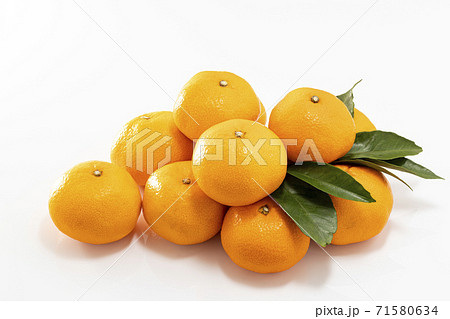 白バックのたくさんのみかんと蜜柑_葉ありの写真素材 [71580634] - PIXTA