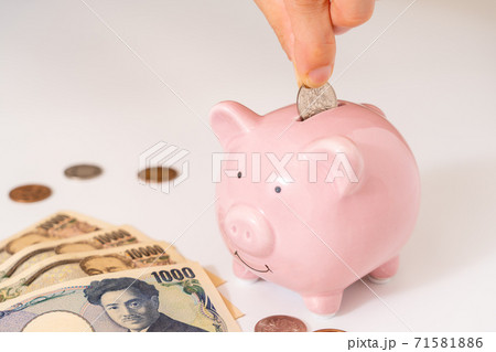 豚の貯金箱 豚の貯金箱 71581886