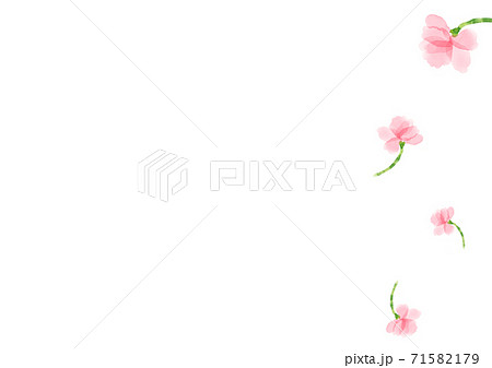 水彩のサクラフレーム　儚い編 71582179