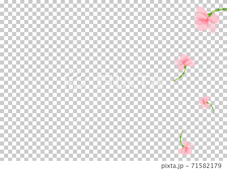 水彩のサクラフレーム　儚い編 71582179