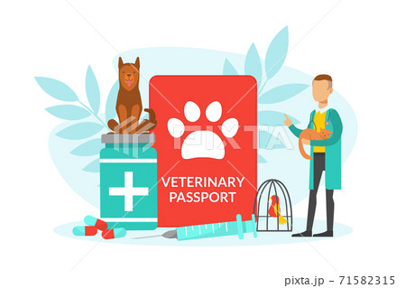Tiny Veterinarian Doctor Examining and Treating Pet Animals, Pets Medical Treatment, Vet Passport, Prevention and Vaccination Vector Illustration Tiny Veterinarian Doctor Examining and Treating Pet Animals, Pets Medical Treatment, Vet Passport, Prevention and Vaccination Vector Illustration 71582315