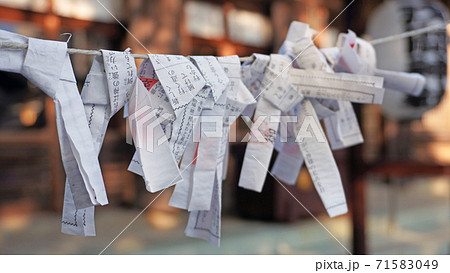 御神籤結びに結ばれたおみくじ01 71583049