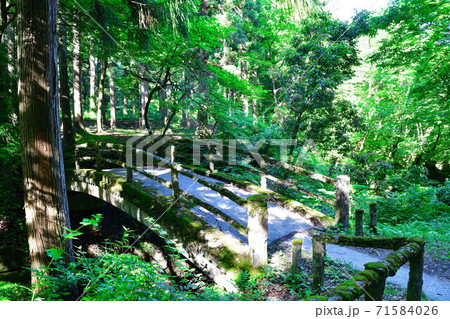 荒川剣龍峡（新潟県） 71584026