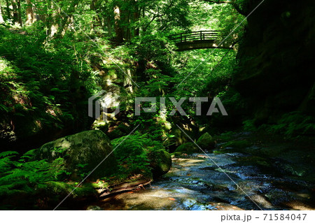 荒川剣龍峡(新潟県) 荒川剣龍峡(新潟県) 71584047