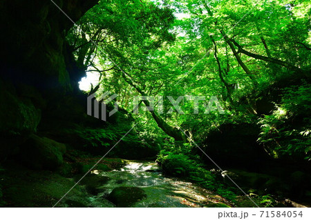 荒川剣龍峡(新潟県) 荒川剣龍峡(新潟県) 71584054