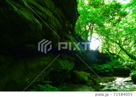 荒川剣龍峡(新潟県) 荒川剣龍峡(新潟県) 71584055