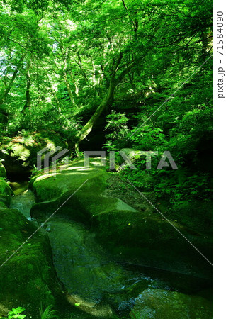 荒川剣龍峡（新潟県） 71584090