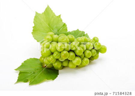 ブドウ 実 フルーツ 71584328