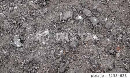 Fresh soil background closeup 71584628