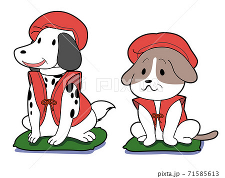 ご高齢の犬 ご高齢の犬 71585613