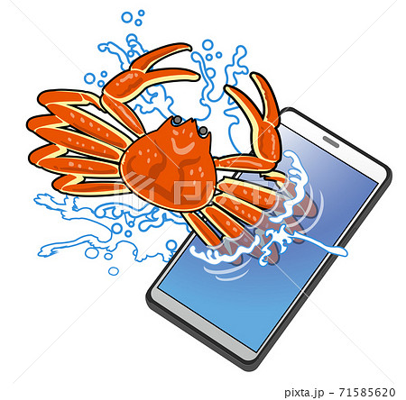 スマートフォンを利用した海鮮の直販 71585620