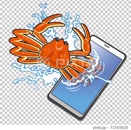 Direct sales of seafood using smartphones 71585620