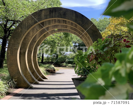 【横浜】晴天の山下公園と周辺の様子【人物なし】 71587091