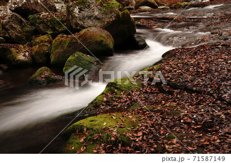 紅葉で色付く秋の菊池渓谷 71587149