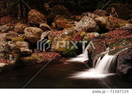 紅葉で色付く秋の菊池渓谷 紅葉で色付く秋の菊池渓谷 71587154