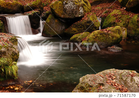 紅葉で色付く秋の菊池渓谷 71587170