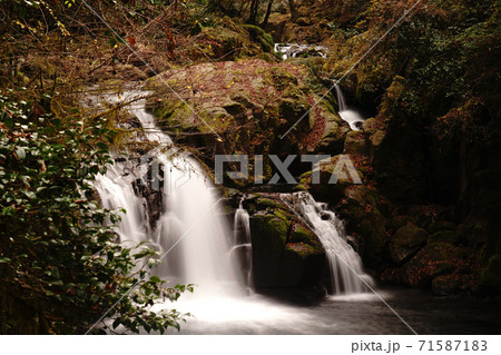 紅葉で色付く秋の菊池渓谷 71587183